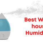 Best-Whole-house-Humidifier