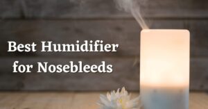 Best Humidifier for Nosebleeds