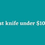 Best Knife Under 100 1