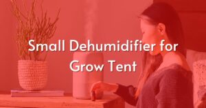 Small Dehumidifier for Grow Tent