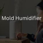 What Does Mold In Humidifier Look Like
