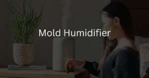 What Does Mold In Humidifier Look Like