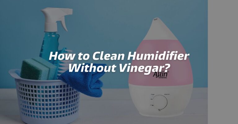 How to Clean Humidifier Without Vinegar?