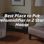 Best Place to Put Dehumidifier in 2 Story House