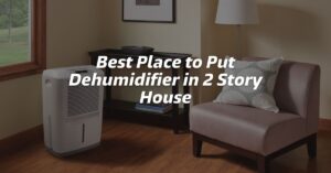 Best Place to Put Dehumidifier in 2 Story House