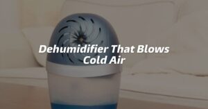 Dehumidifier That Blows Cold Air