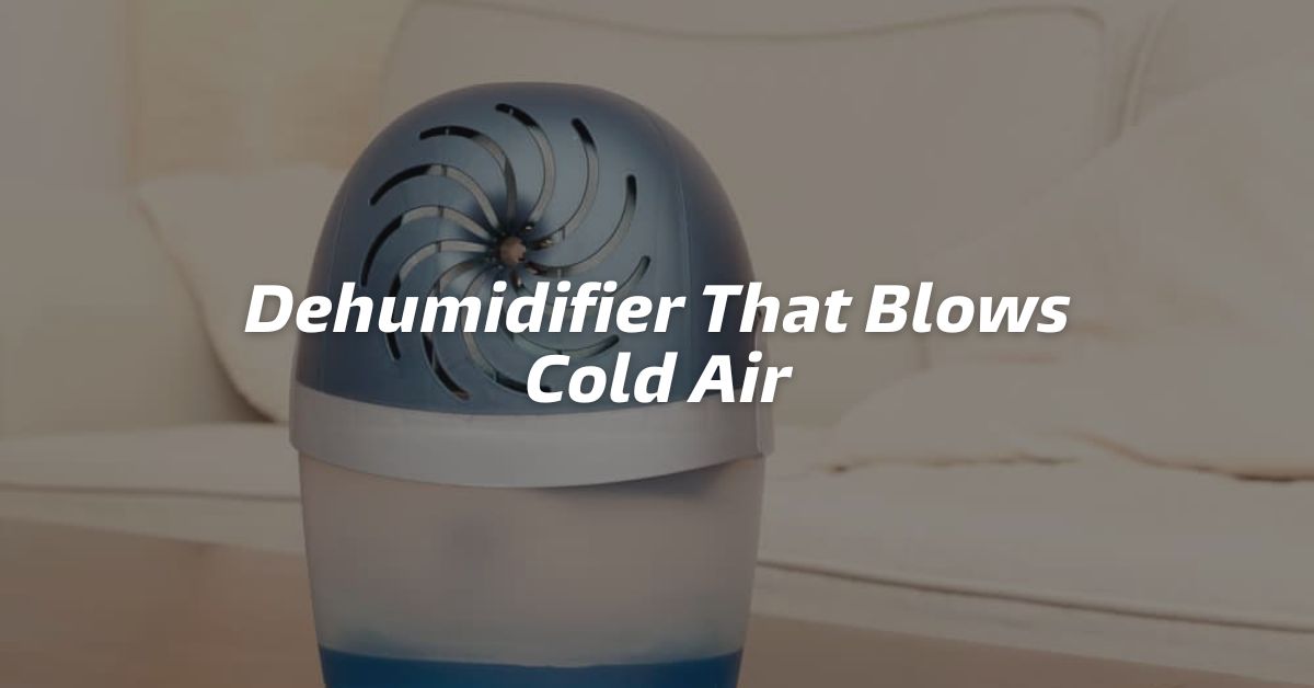 Dehumidifier That Blows Cold Air