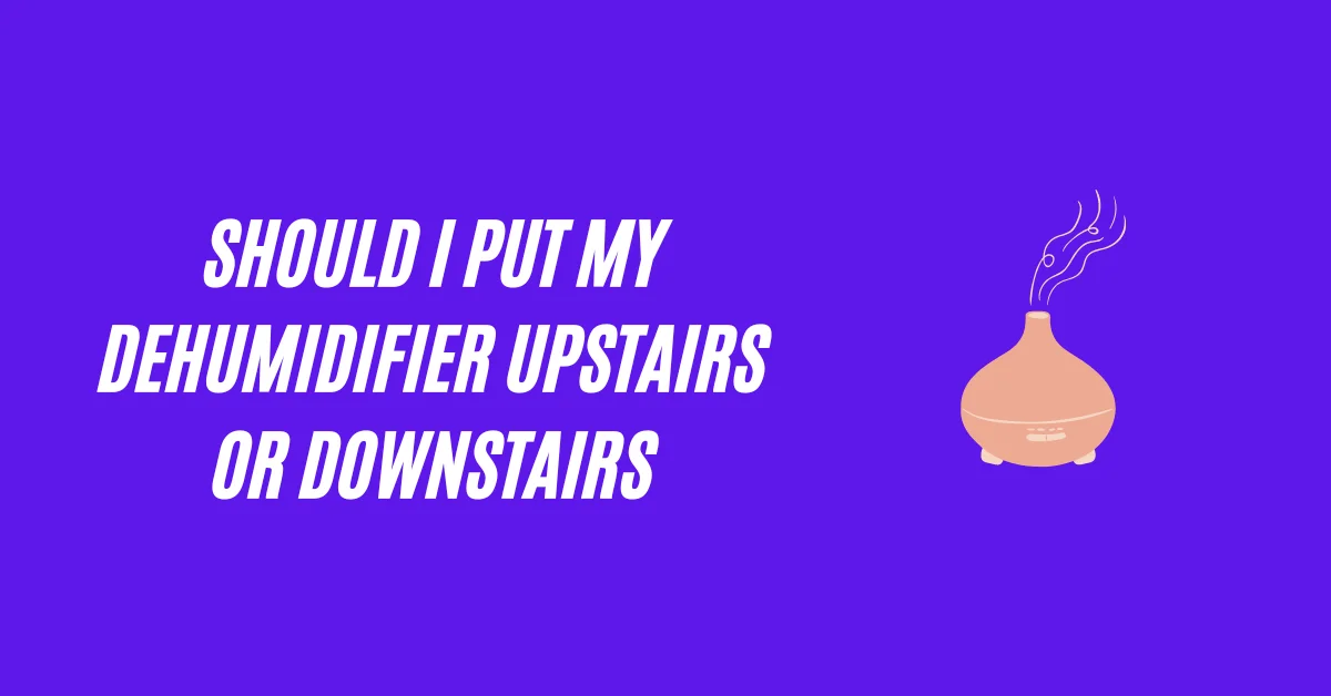 Should I Put My Dehumidifier Upstairs or Downstairs