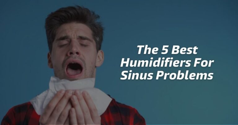 The 5 Best Humidifiers For Sinus Problems