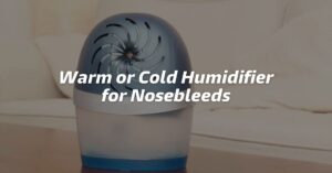 Warm or Cold Humidifier for Nosebleeds